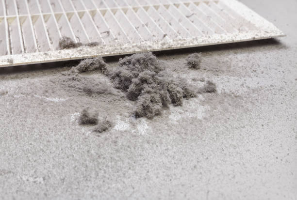 Professional Airduct Cleaning in FL