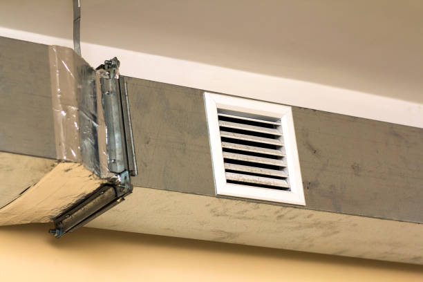 Best Affordable Duct Cleaning Services  in Lake Alfred, FL
